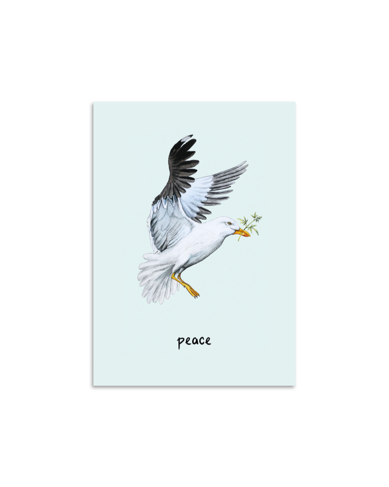 Friedensmöwe Postkarte