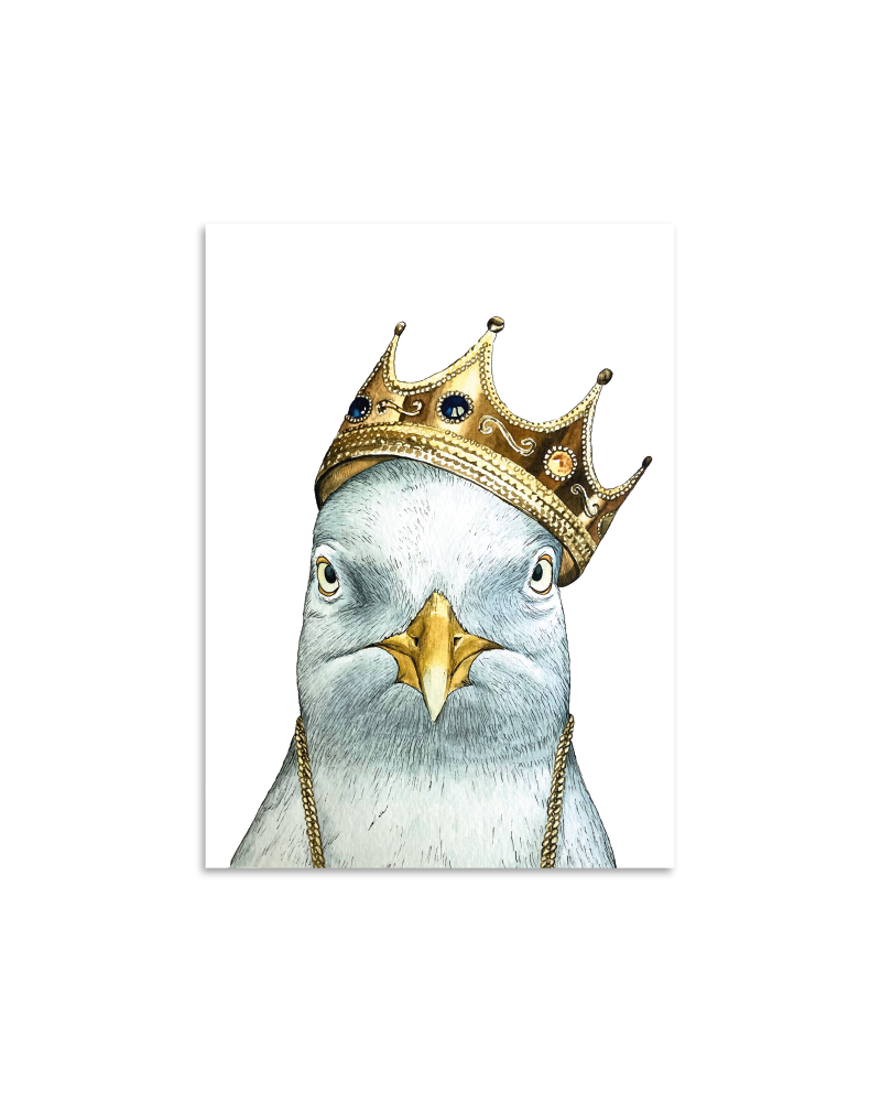 König der Möwen Postkarte